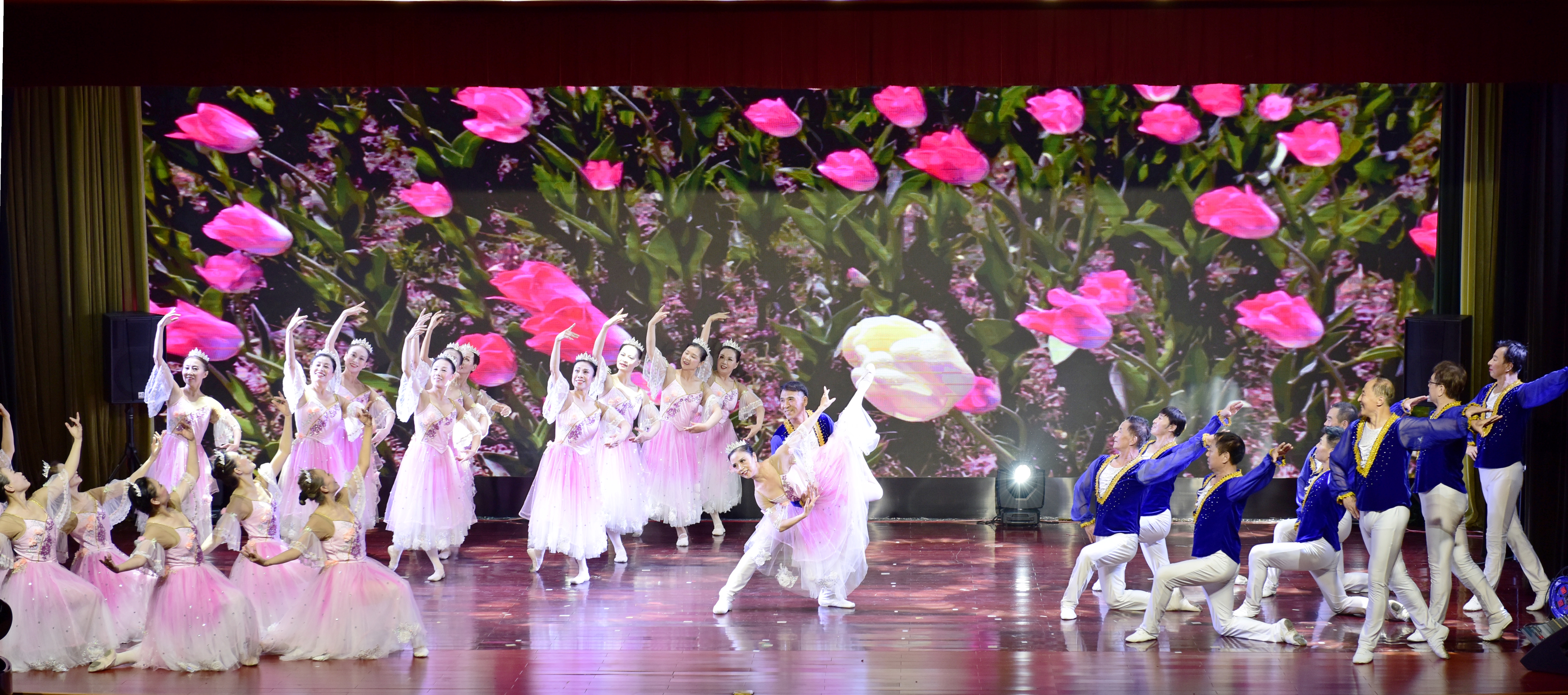 芭蕾舞《荡漾生命的欢歌》表演：芭蕾舞表演班